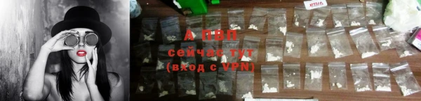 молекула духа Семёнов