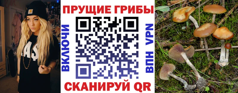 где купить наркотик  Ялуторовск  Галлюциногенные грибы ЛСД 